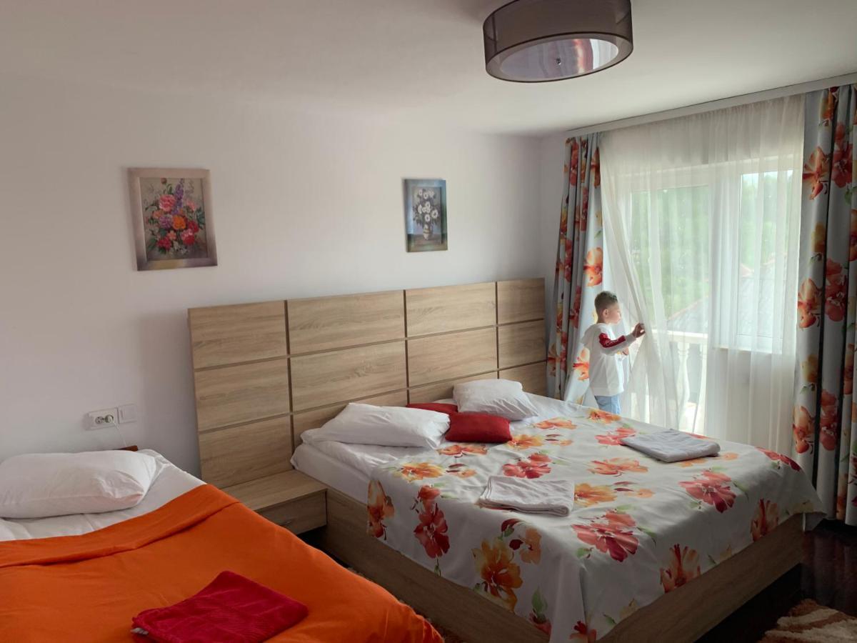 Vila Club Dioda Cicanesti Extérieur photo